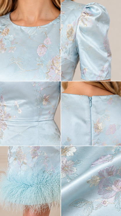 Close-up details of neckline, puff sleeves, back zipper, and feather trim